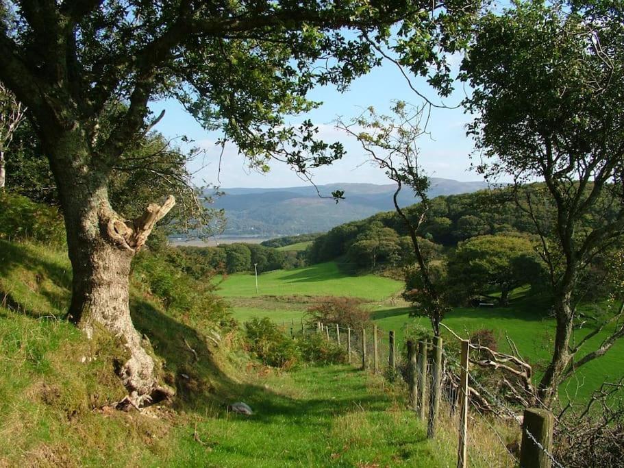 Stunning Views Of Ynyshir & Southern Snowdonia Махинллет Экстерьер фото