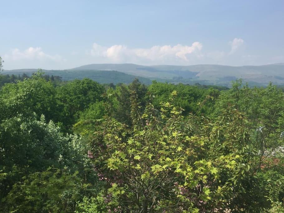 Stunning Views Of Ynyshir & Southern Snowdonia Махинллет Экстерьер фото