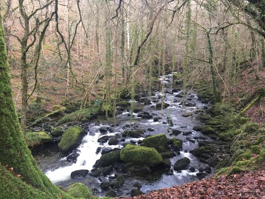 Stunning Views Of Ynyshir & Southern Snowdonia Махинллет Экстерьер фото
